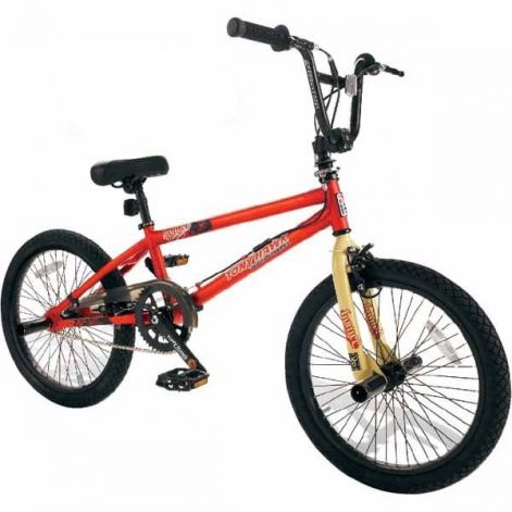 tony-hawk-homer-bmx1.jpg